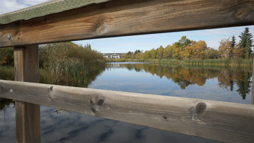 Explore SummerWood Community Sherwood Park